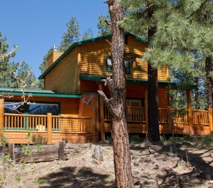 #97 Cabin Sleeps 4 - Greer Lodge Arizona