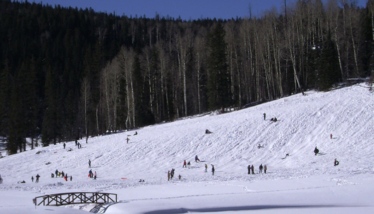 Winter-Greer Lodge Arizona