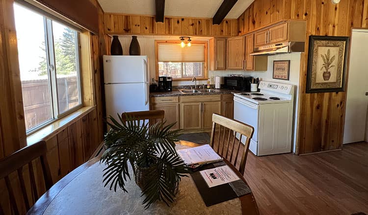 Kitchen in Cabin #89