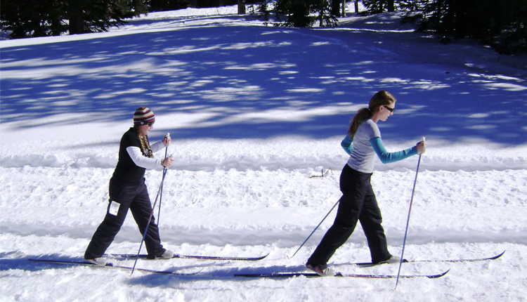 Cross Country Skis - Greer, Arizona