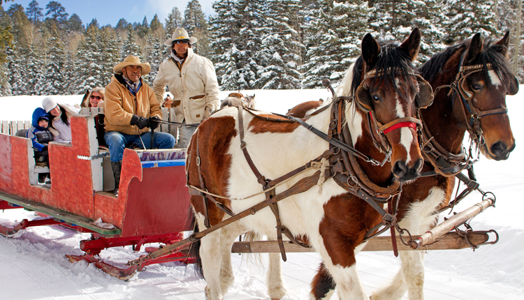 Winter Sleigh Ride in Greer, AZ