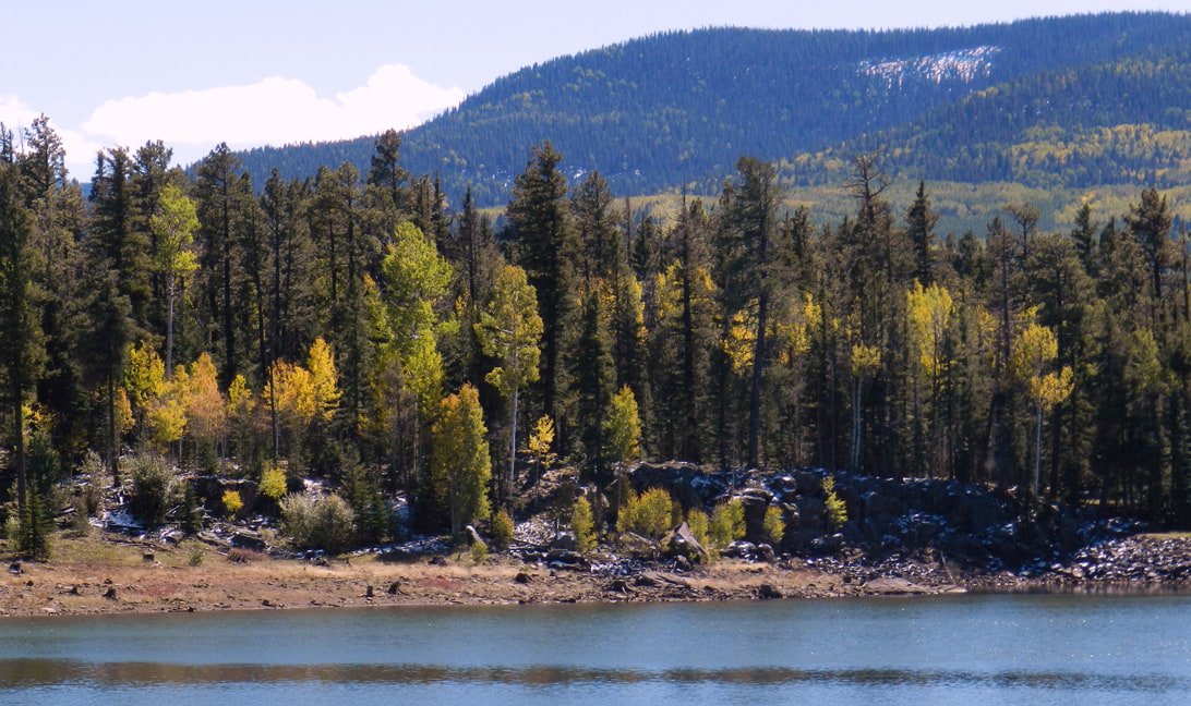 Fall Season Trout Fishing