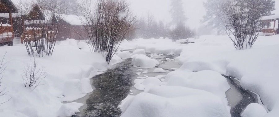 Record-Breaking Snowfall in Greer, AZ