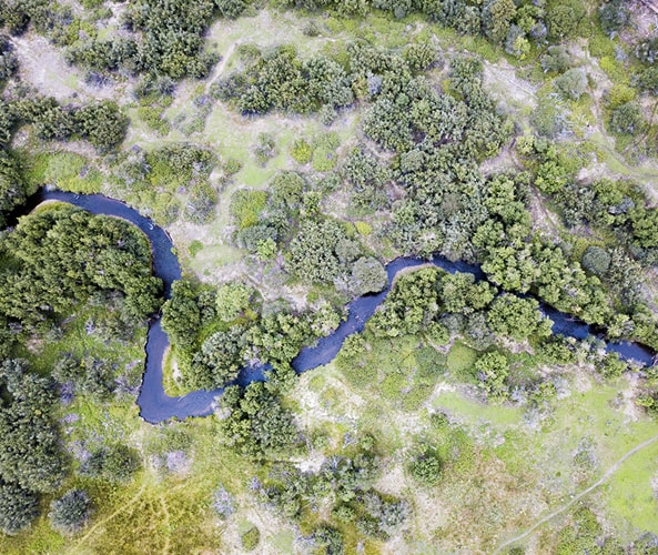 Little Colorado River running through Apache-Sitgreaves National Forest in Greer, AZ