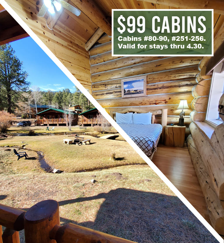 $99 Cabins - Spring Sale in Greer, AZ