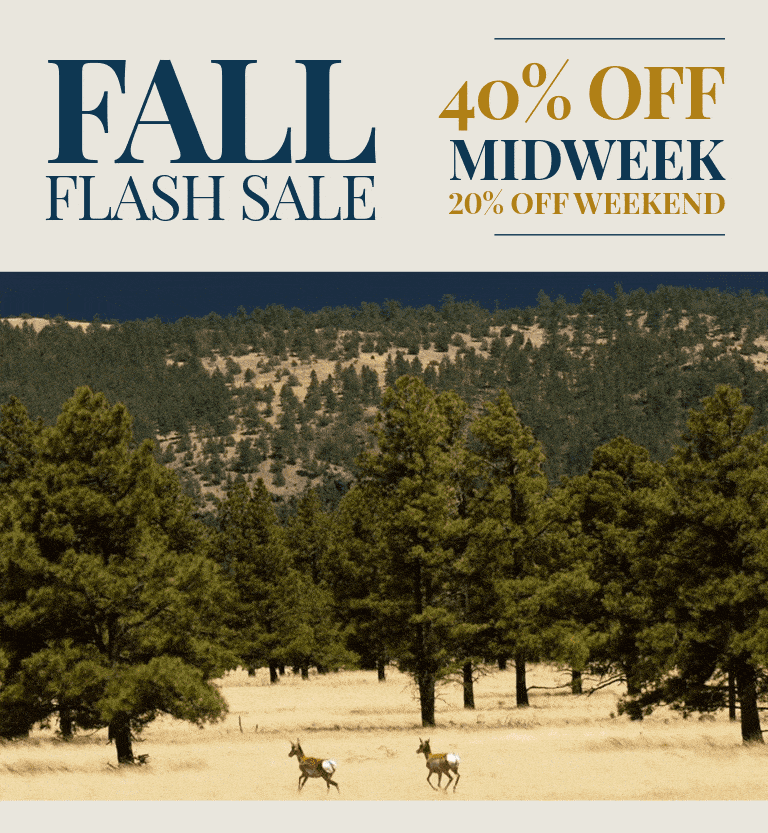 Fall Flash Sale - 40% Off Midweek & 20% Off Weekend - Cabins in Greer, AZ