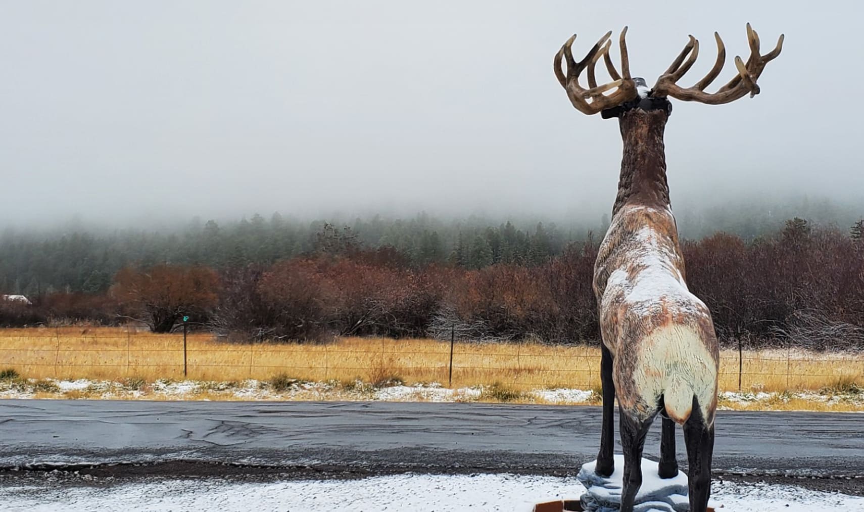 Elk statue in foggy fall morning at Greer Lodge