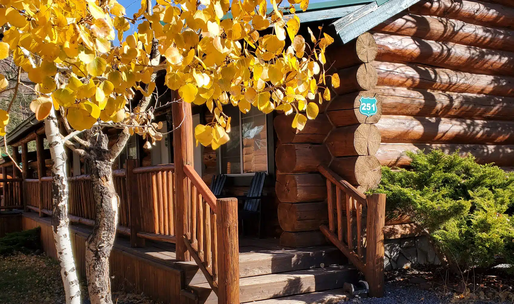 Cozy cabin surrounded by fall leaves in Greer, Arizona